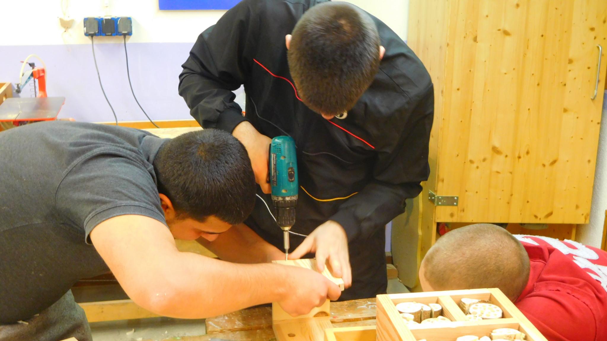 Amsel und Nistkasten (48)