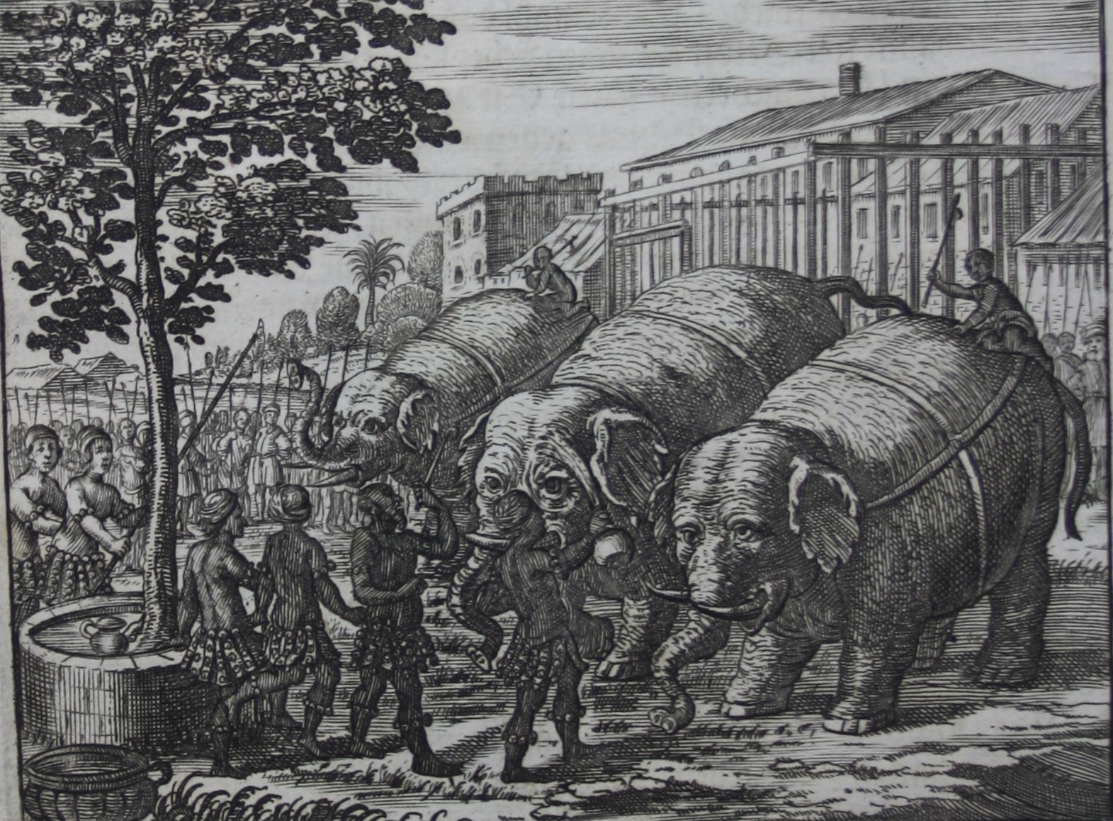 Elefantenjagd - Johann Jacob Saar, Ost-Indianische Funfzehen-Jährige Kriegs-Dienste Nürnberg 1672 (Martinus-Bibliothek Mainz, 16/787) (c) Martinus-Bibliothek