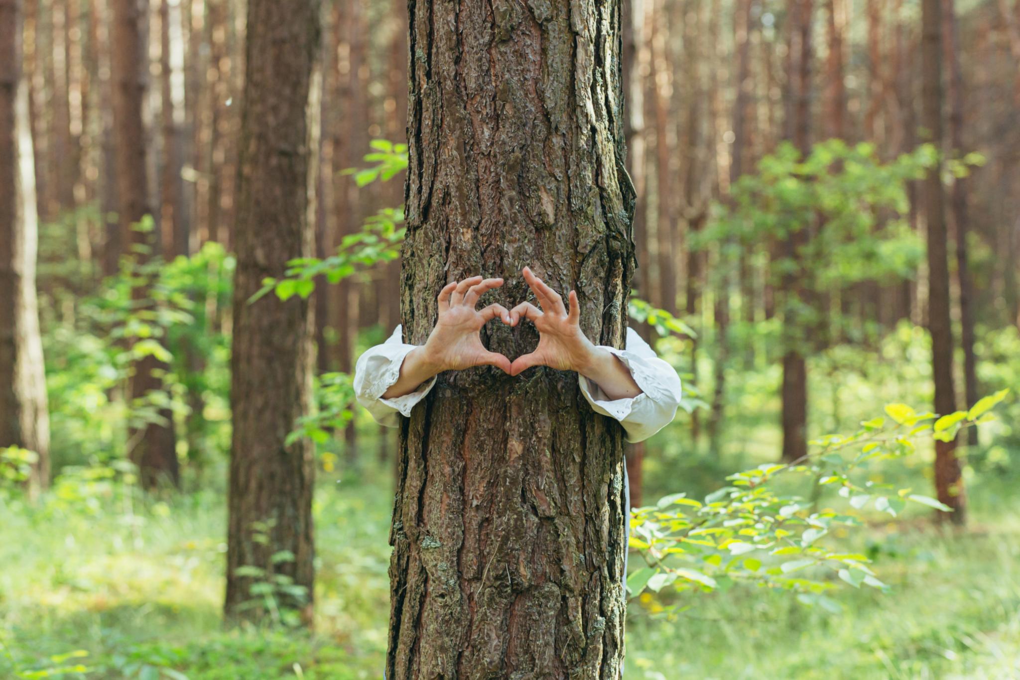 Liebe für die Natur