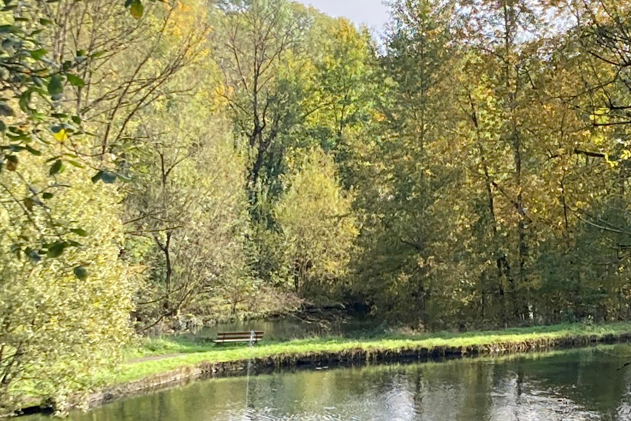 Brunnental Grünberg