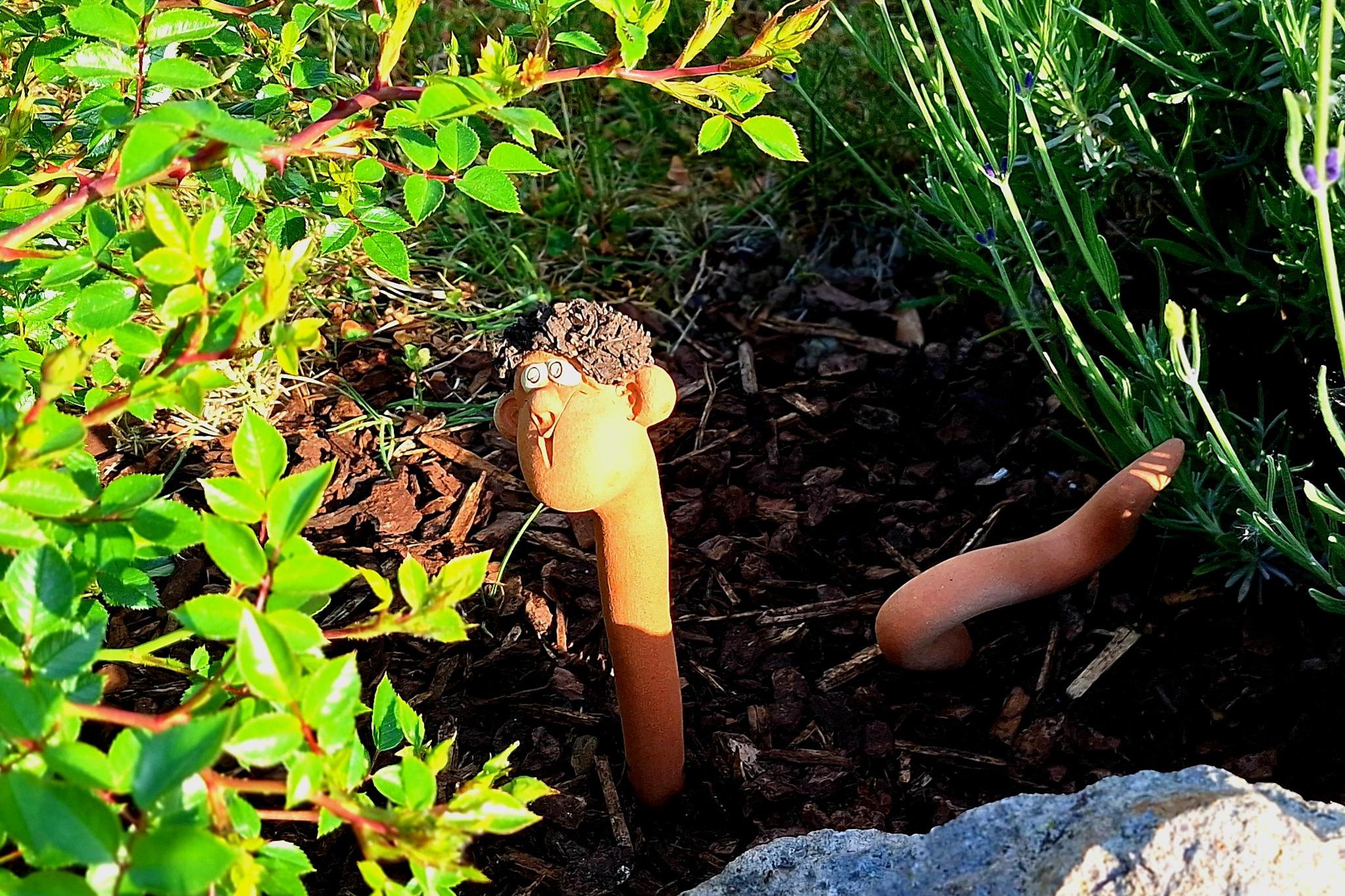 Ein getöpfertes Würmchen blitzt unter Sträuchern hervor.