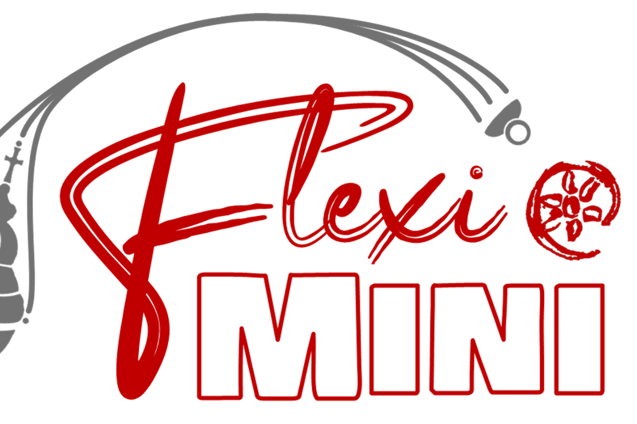 Logo Fleximini