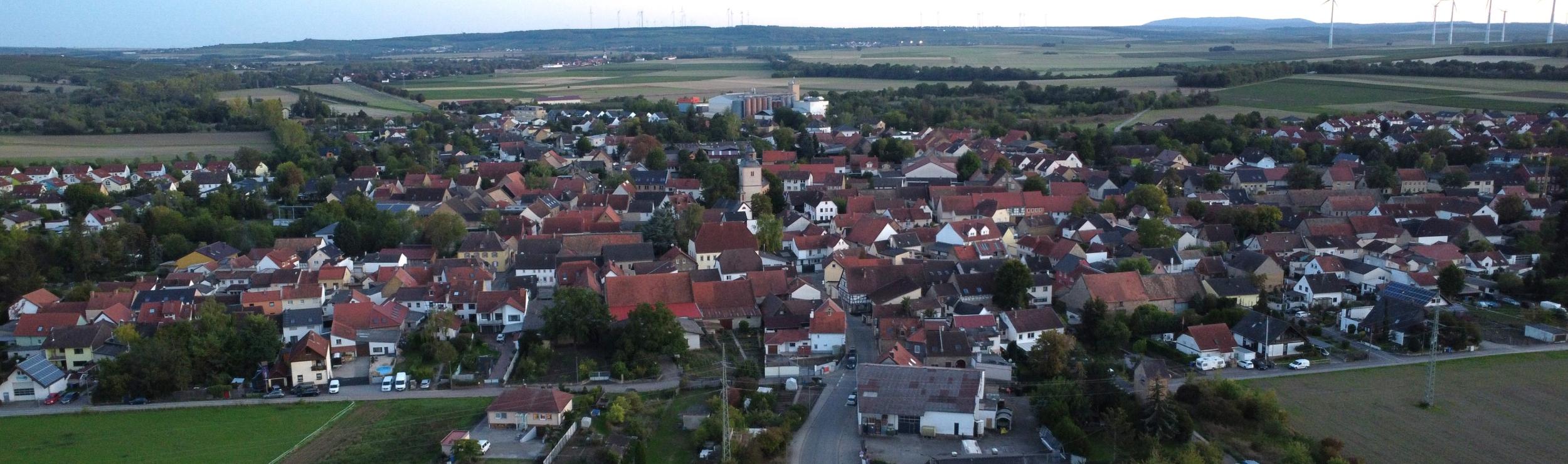 Blick auf Wallertheim