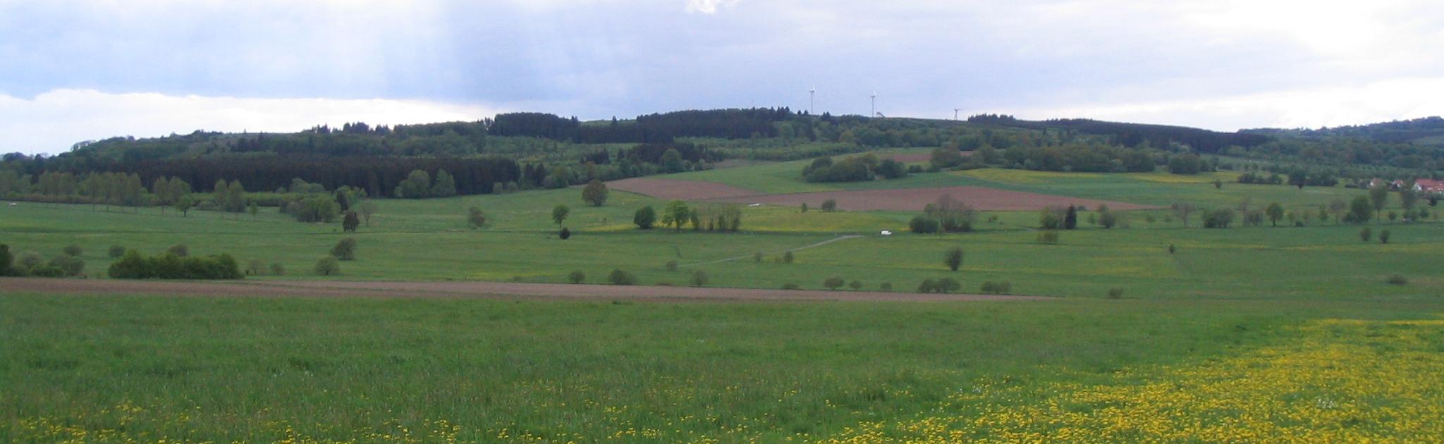Weißer Stein (Vogelsberg)