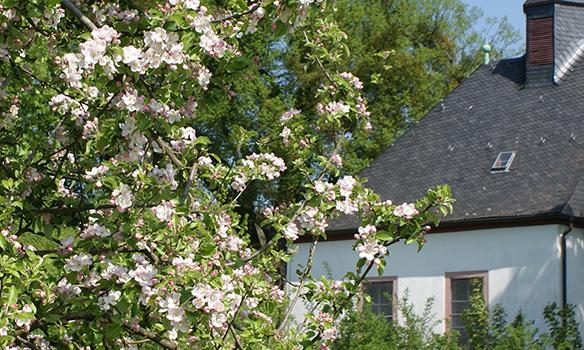 Hollarkapelle Hollarkapelle