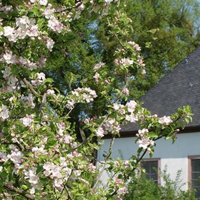 Hollarkapelle Hollarkapelle