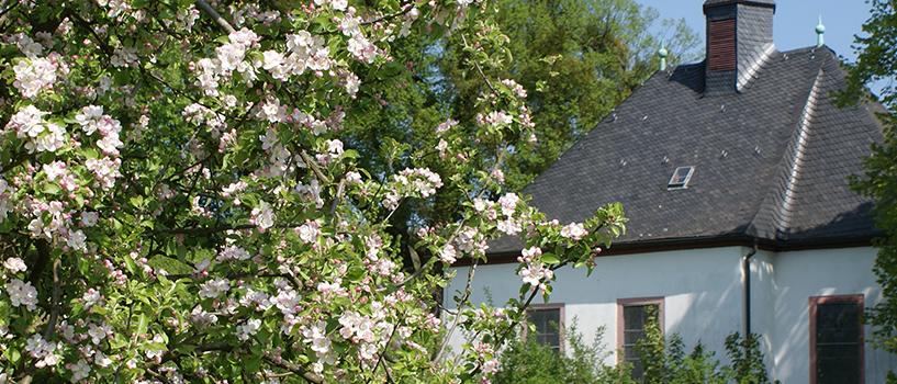 Hollarkapelle Hollarkapelle