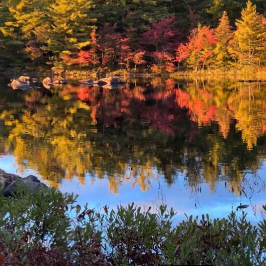 Herbst Kanada 2 (c) privat