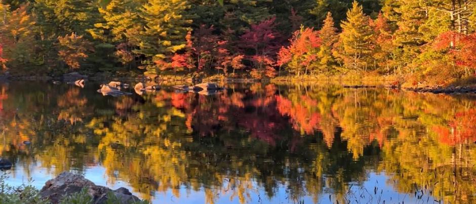 Herbst Kanada 2 (c) privat