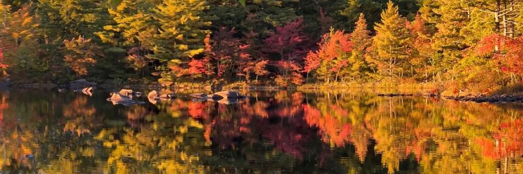 Herbst Kanada 2 (c) privat