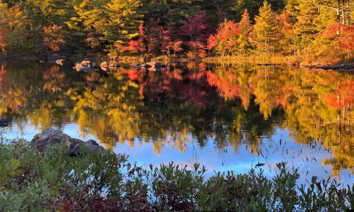 Herbst Kanada 2 (c) privat