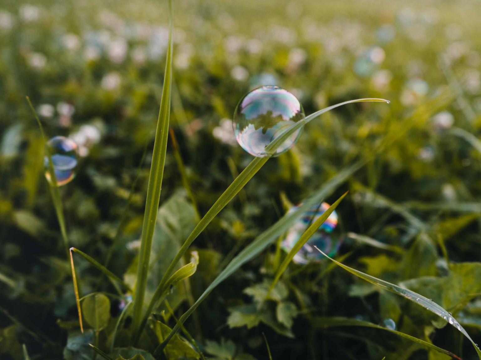 Kirchenzettel (c) Foto von <a href=https://unsplash.com/de/@aurelien_romain?utm_content=creditCopyText&utm_medium=referral&utm_source=unsplash>Aurelien Romain</a> auf <a href=https://unsplash.com/de/fotos/wassertau-auf-gruner-pflanze-y3S7981wAds?utm_content=creditCopyText&utm_medium=referral&utm_source=unsplash>Unsplash</a> Kirchenzettel (c) Foto von <a href=https://unsplash.com/de/@aurelien_romain?utm_content=creditCopyText&utm_medium=referral&utm_source=unsplash>Aurelien Romain</a> auf <a href=https://unsplash.com/de/fotos/wassertau-auf-gruner-pflanze-y3S7981wAds?utm_content=creditCopyText&utm_medium=referral&utm_source=unsplash>Unsplash</a>