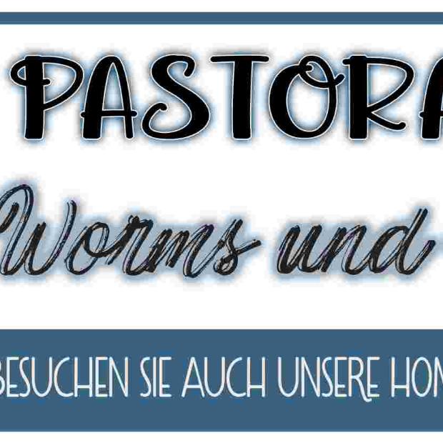 Pastoralraum Worms und Umgebung (c) Martina Bauer