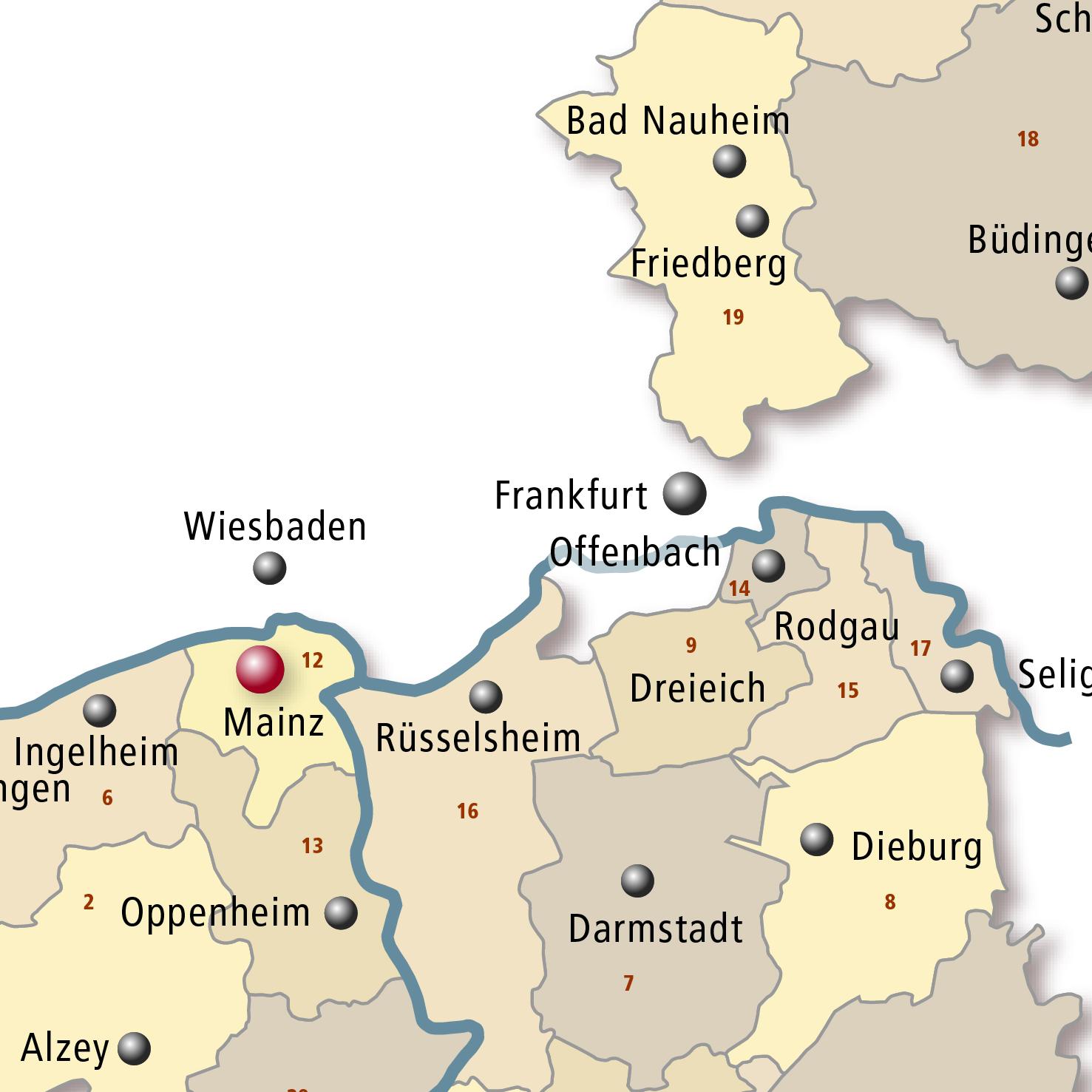 Organisation | Organisation Bistum Mainz