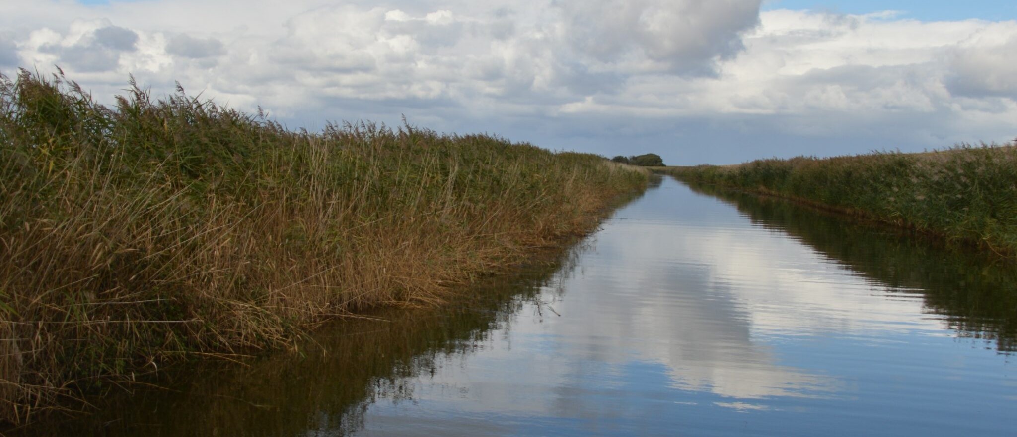 DSC_2242-2-2048x1541a (c) Spiritualität, Mainz DSC_2242-2-2048x1541a