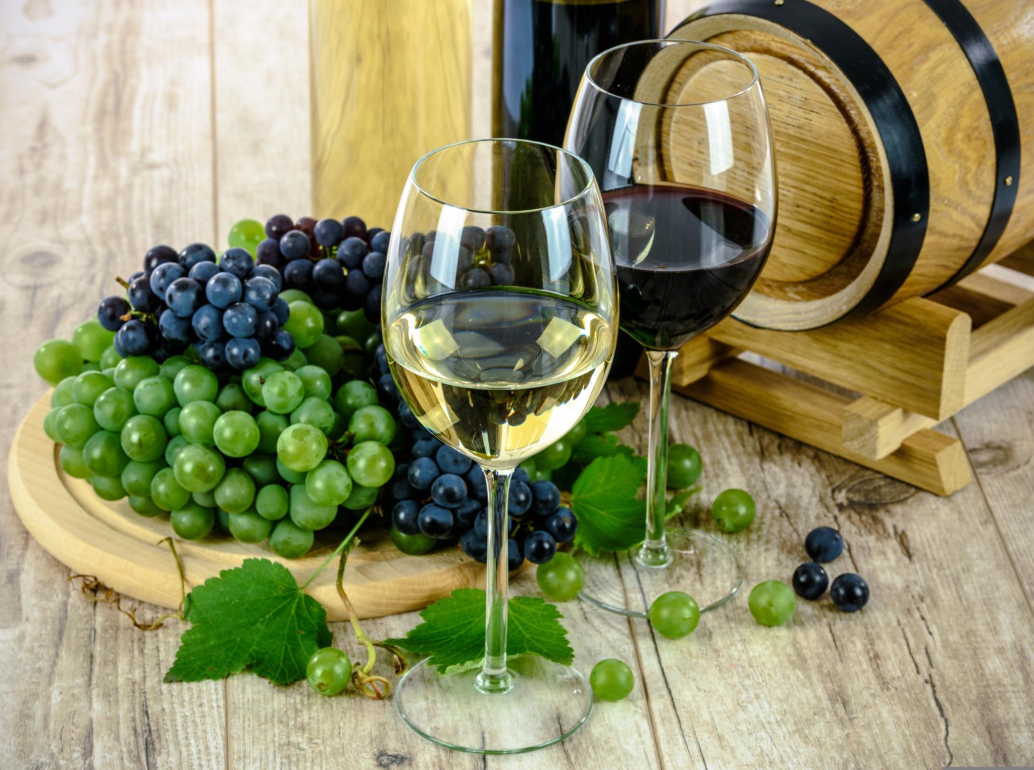 as_photography-wines-1761613