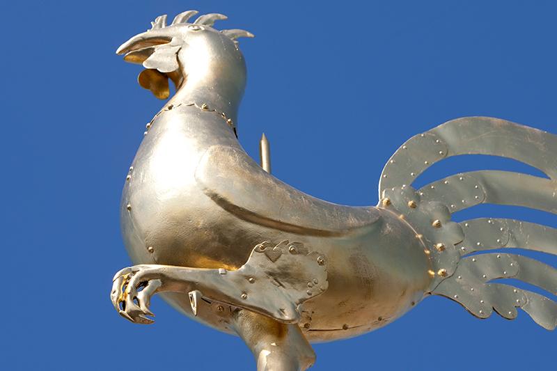 Hahn (c) Bistum Mainz Hahn