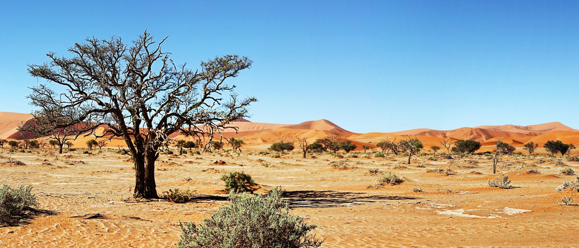 Wüste Namibia (c) Bild von Greg Montani auf Pixabay
