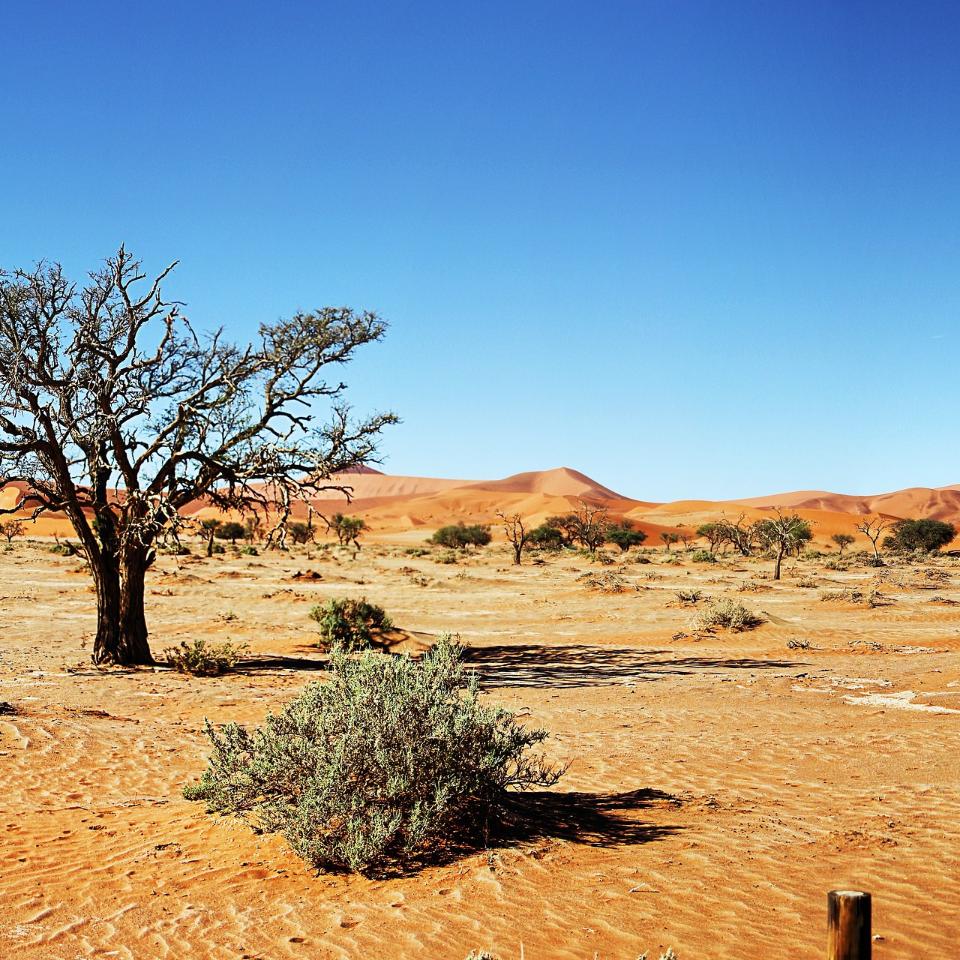 Wüste Namibia (c) Bild von Greg Montani auf Pixabay