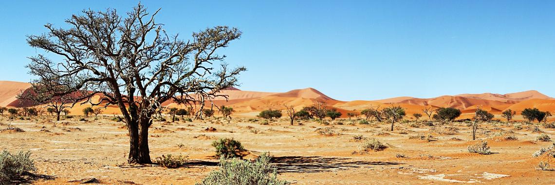 Wüste Namibia (c) Bild von Greg Montani auf Pixabay