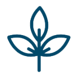 wachsen (c) coj wachsen