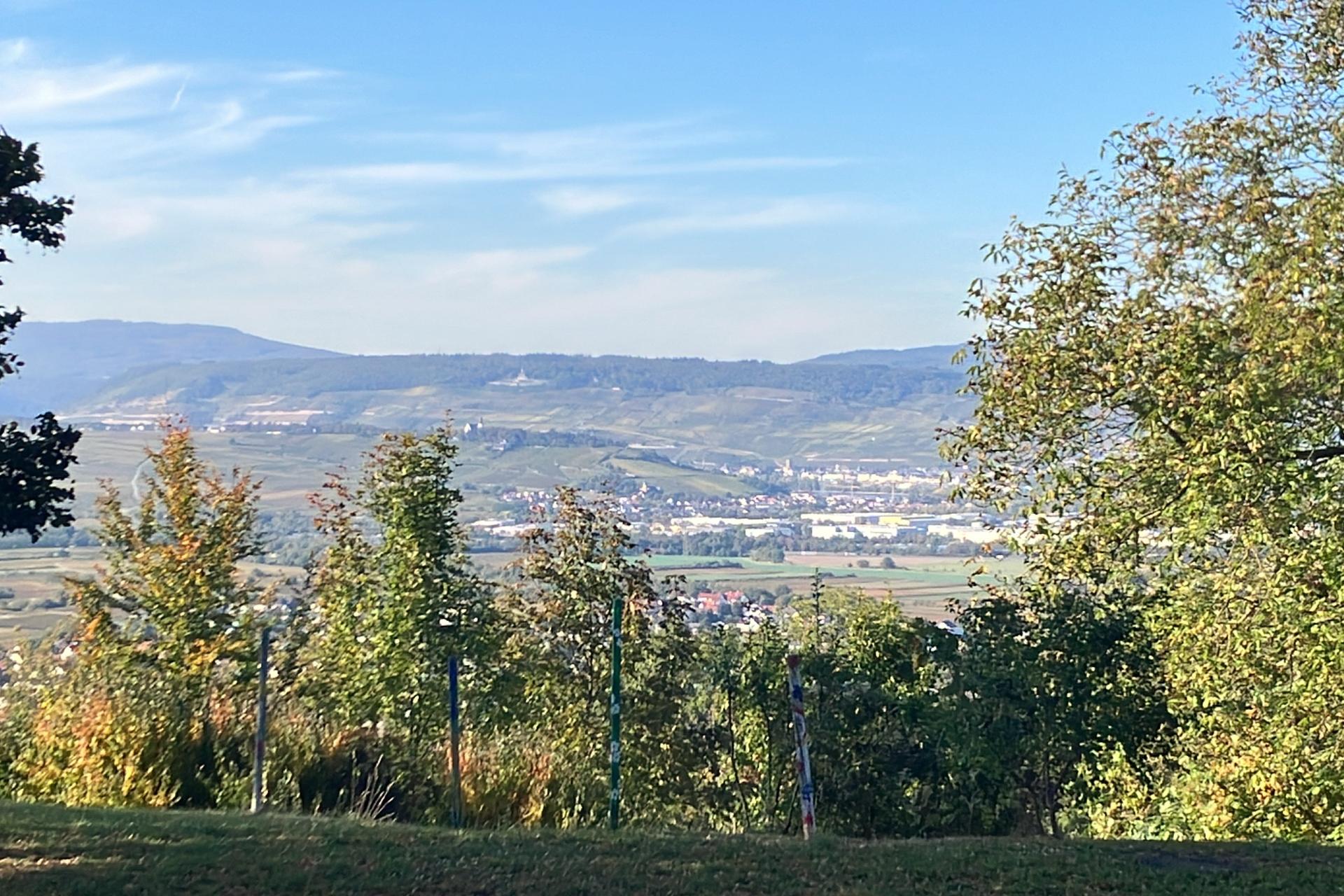 Jakobsberg - Rochusberg