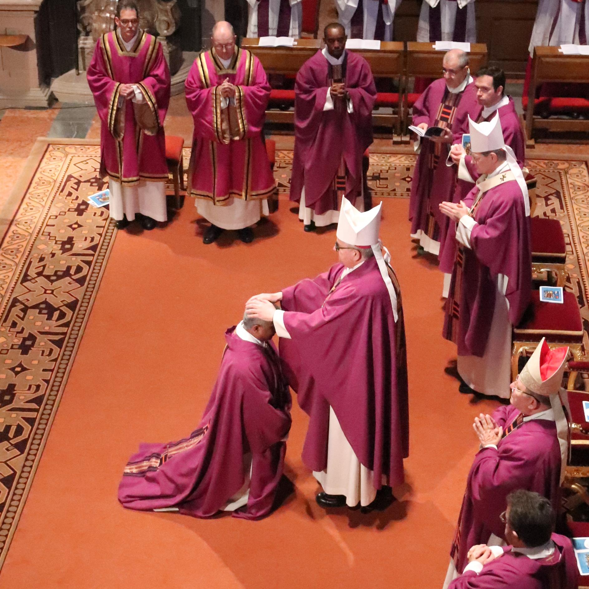 Durch Handauflegen weihte Bischof Peter Kohlgraf Pater Joshy Pottackal zum Weihbischof